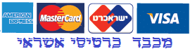 שיפוצים ותיקונים